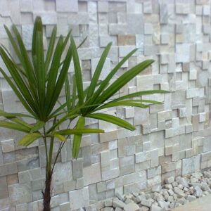 Mosaico Branco São Tomé